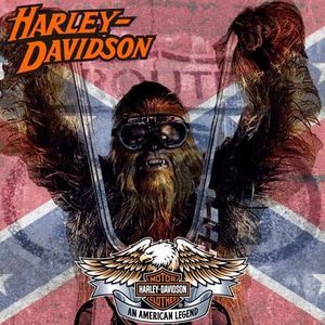 Meet your Posher, Ronnie